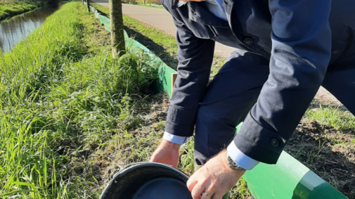 Help de padden op pad in Nieuwegein