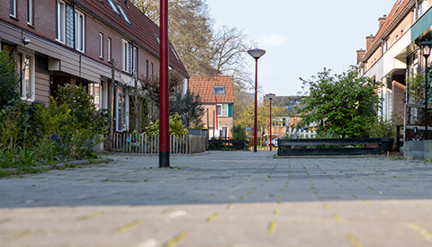 ‘De Olsterveste’