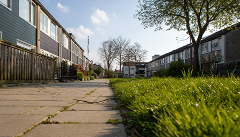 ‘De Omnibusdrift’