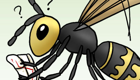 ‘De strip van Kim Houtzager’