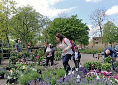 Plantjesmarkt bij Dorpshuis Fort Vreeswijk
