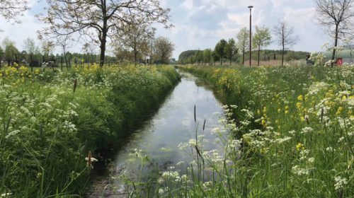 ‘Foto van de week’