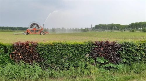 Hoogheemraadschap De Stichtse Rijnlanden actualiseert de status van het grondwatergebruik