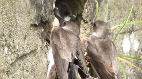 ‘Foto van de week’