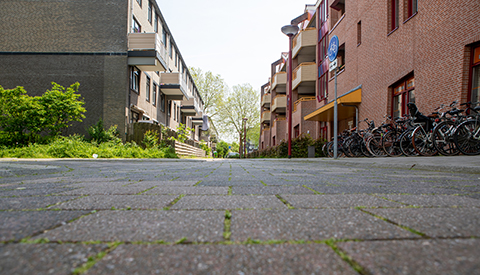 ‘De Oortjesburg’