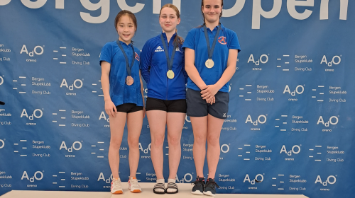 Zes medailles en een kwalificatie voor het EJK voor de schoonspringers van Aquarijn