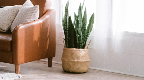 Een onderhoudsvrije vloer is het nieuwe normaal