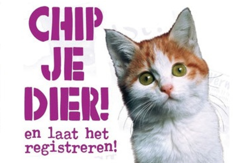 chip je huisdier