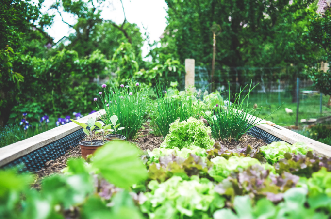 kleine tuin