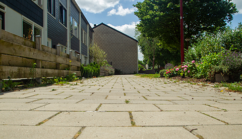 ‘De Ossewagendrift’