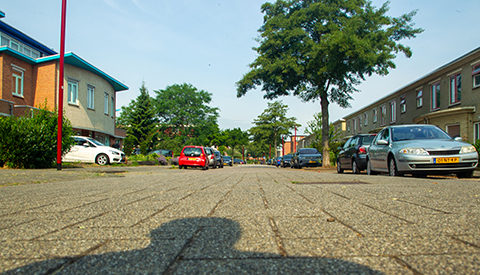 ‘De Adriaen van Ostadehage’