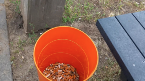 Peukenopruimdag in Nieuwegein: ‘Ze zijn klein, maar absoluut niet onschuldig’