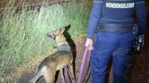 Politie waarschuwt voor barbecuedieven: ‘Keten ‘m vast!’