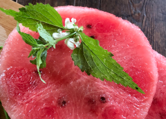 Koken met PEN: ‘Gegrilde watermeloensteak met watermunt en eetbare bloemen’
