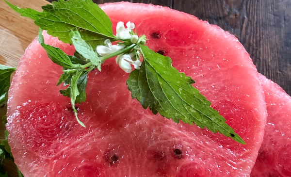 Koken met PEN: ‘Gegrilde watermeloensteak met watermunt en eetbare bloemen’