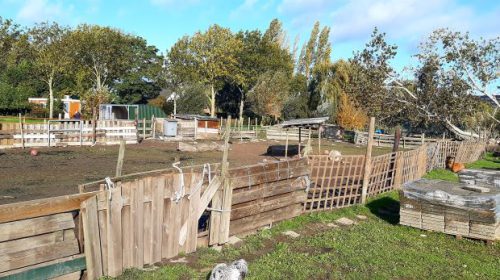 Stichting Sublime viert 10-jarig bestaan met een Open Dag