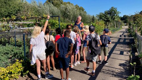 Leerlingen De Toonladder krijgen praktijkles op volkstuinencomplex Galecop