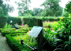 Kruidentuin Batau is weer vaker open
