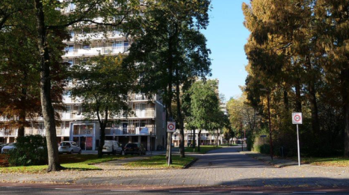 Woonin kan beginnen met uitvoeren toekomstplan flats Nijpelsplantsoen