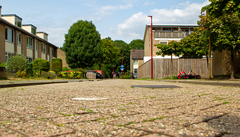 ‘De Palestrinastraat’