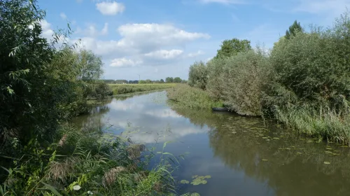 IVN Herfstwandeling langs het Vuylcoppad