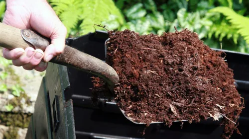 Gratis compost voor uw planten