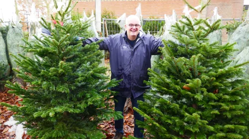 Kerstbomenverkoop voor onderhoud Nicolaas- en Barbarakerk weer van start