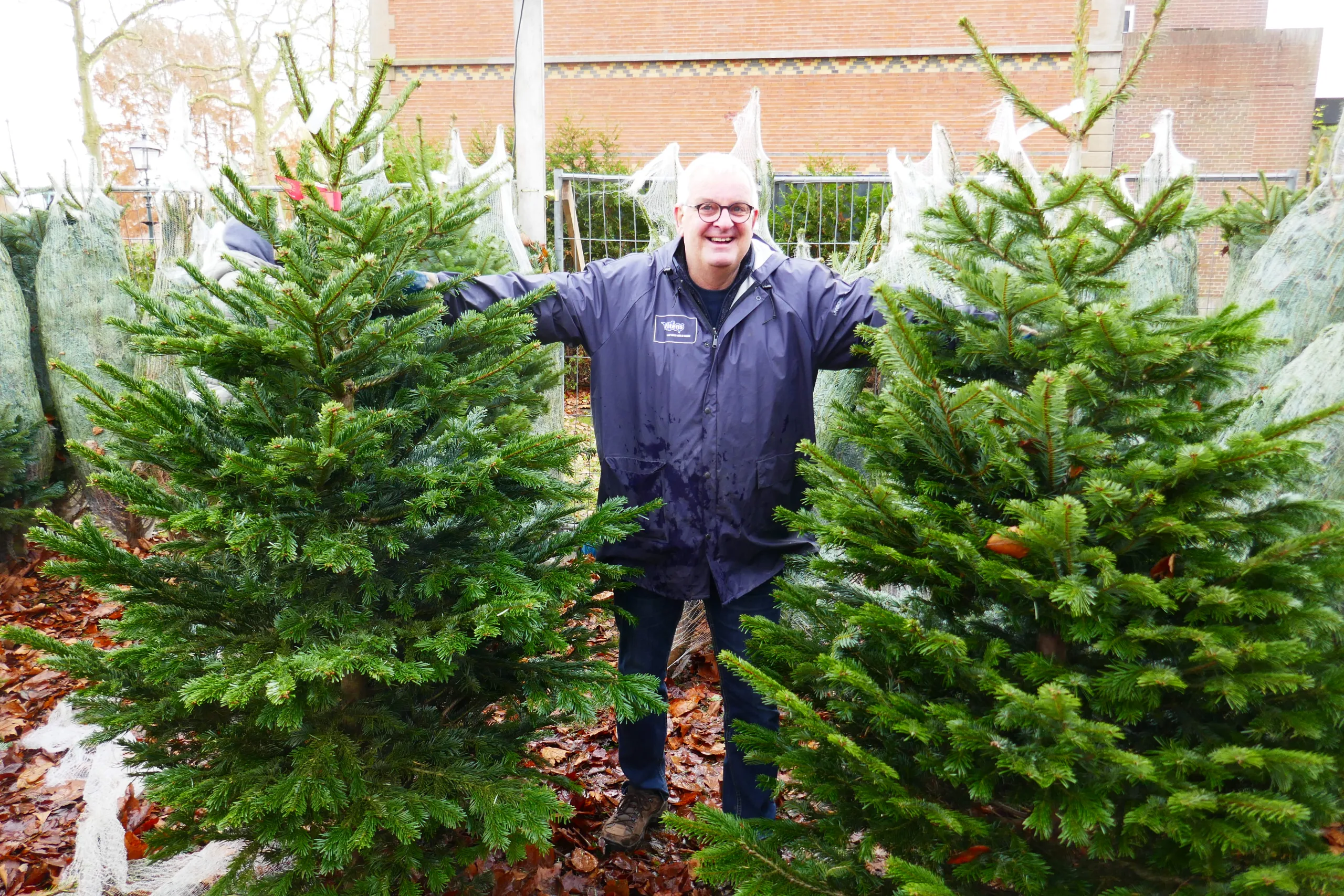 kerstbomenverkoop