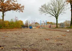 ‘Parkhout’