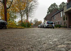 ‘De Paukenlaan’