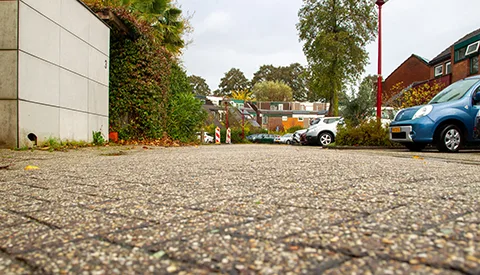 ‘De Pauwoogweide’