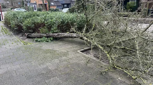 Storm Henk zorgt voor schade in Nieuwegein