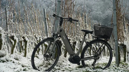 Technische (elektrische) fietstermen