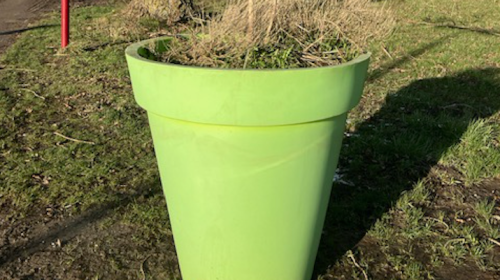 ‘Foto van de week’