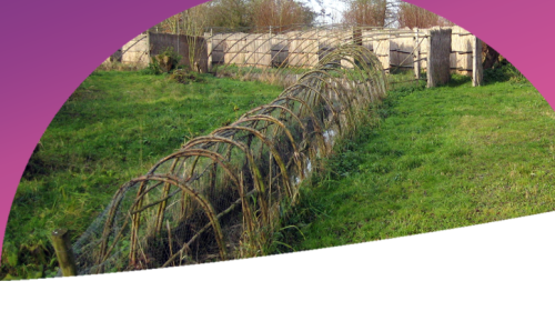 Nieuwegeinlezing over ‘Eendenkooien’