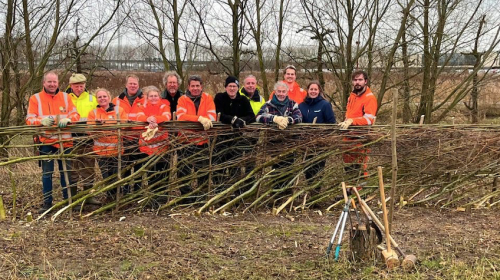 Vlechtheggen moeten Het Klooster mooier en diverser maken