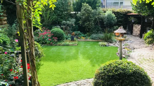 Tips voor een onderhoudsvrije tuin