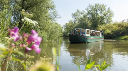 Met de Historische Kring Nieuwegein naar Park De Biesbosch