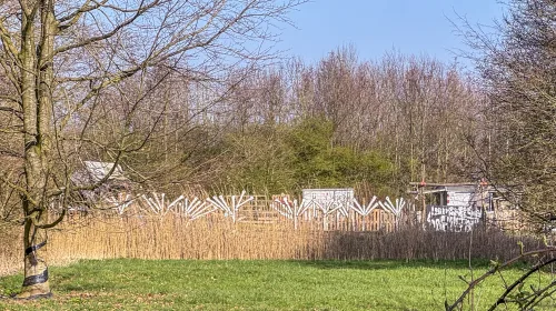 ‘Foto van de week’