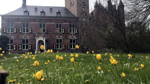 IVN-excursie Stinzenplanten op landgoed Nijenrode