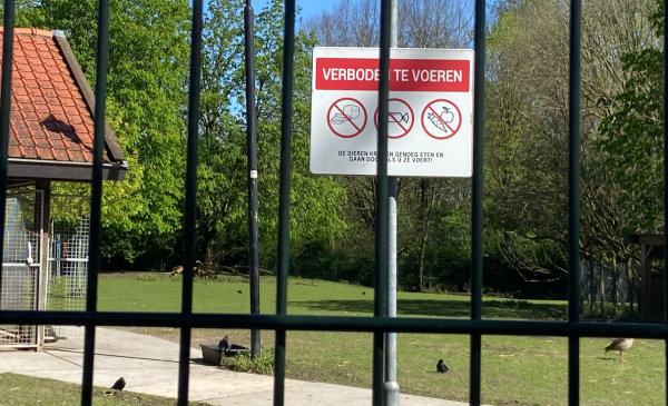 Ondanks succes aanpak overgewicht dieren op dierenweides blijf openstelling onzeker