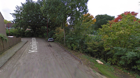 ‘Nieuwegein verstedelijkt en vergroent’ of toch niet?