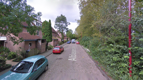 ‘Nieuwegein verstedelijkt en vergroent’ of toch niet?