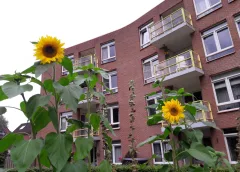 De Bosruiter zet de deur open voor Nieuwegeiners die anders willen wonen