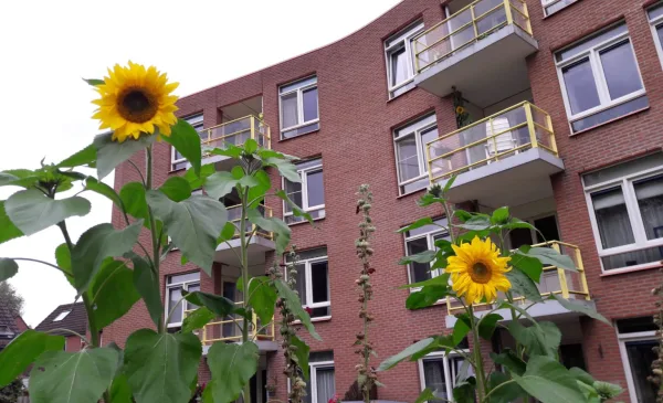 De Bosruiter opent haar deuren tijdens Europese Gemeenschappelijk Wonen Dag