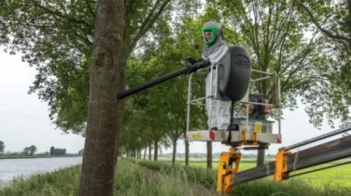 Rijkswaterstaat pakt eikenprocessierups aan