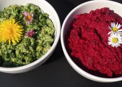 Koken met PEN: ‘Bietenspread met harig knopkruid’