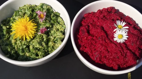 Koken met PEN: ‘Bietenspread met harig knopkruid’