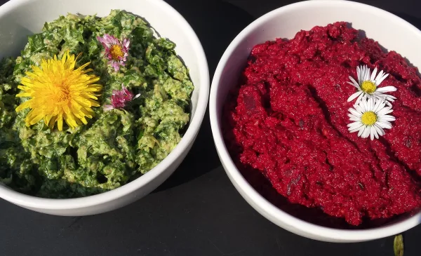 Koken met PEN: ‘Bietenspread met harig knopkruid’