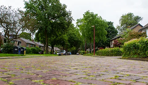 ‘De Prinsessenweg’